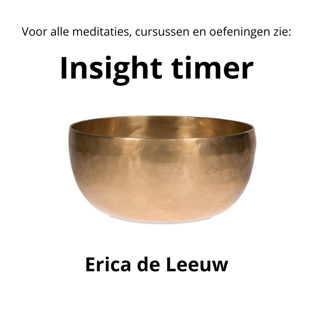 insight timer erica de leeuw meditatie audiocursus
