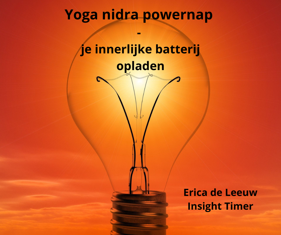 insight timer erica de leeuw