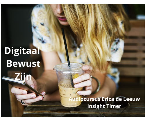 digitaal bewust zijn insight timer